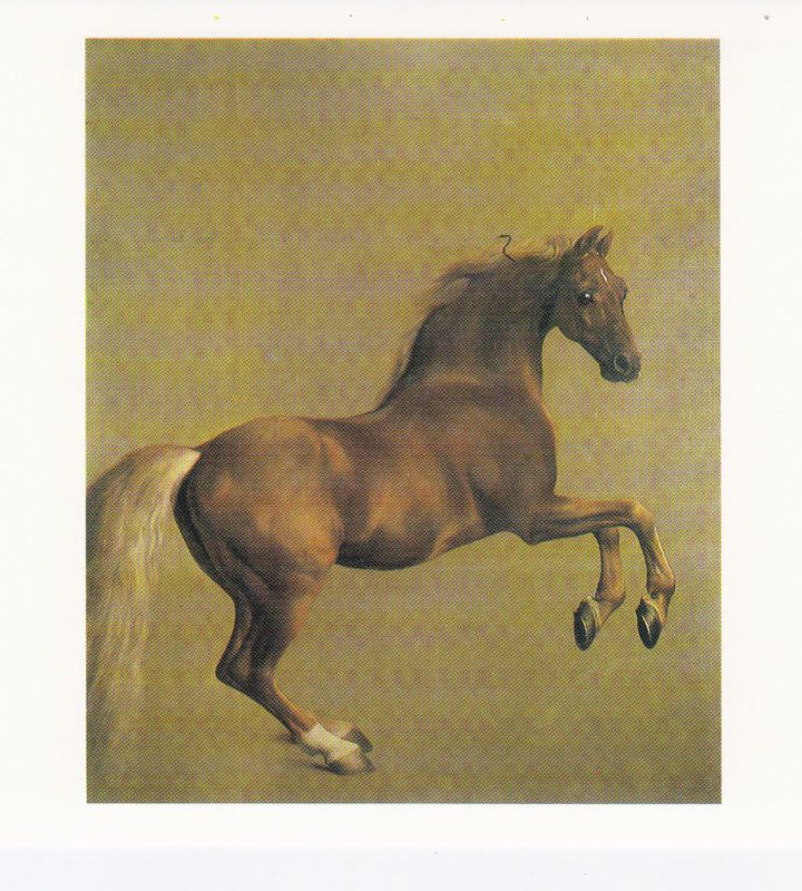 ARTIST GEORGE STUBBS HORSE POSTCARD   WHISTLE JACKET  