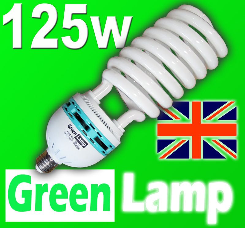 125w CFL Photography Bulb Daylight Balanced 5500k E27  
