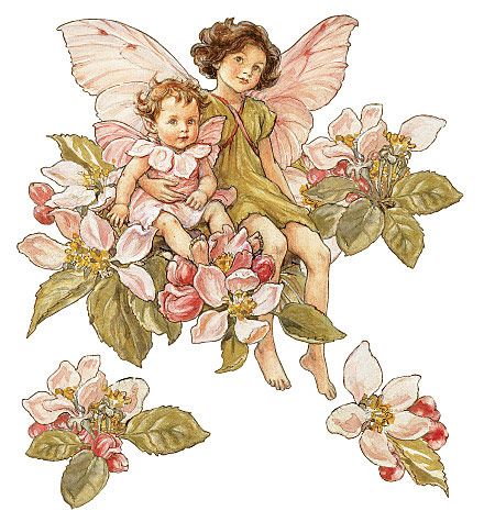   Flower Fairy Fairies Apple Blossom Wallies Large Wall Mural Decal Stic