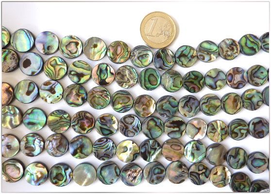 Fil de Perles Boutons 14 mm en Nacre Abalone   37 cm  