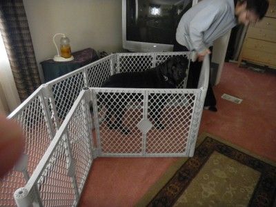   States Superyard Classic XT Gate Play Yard for kids or pets  