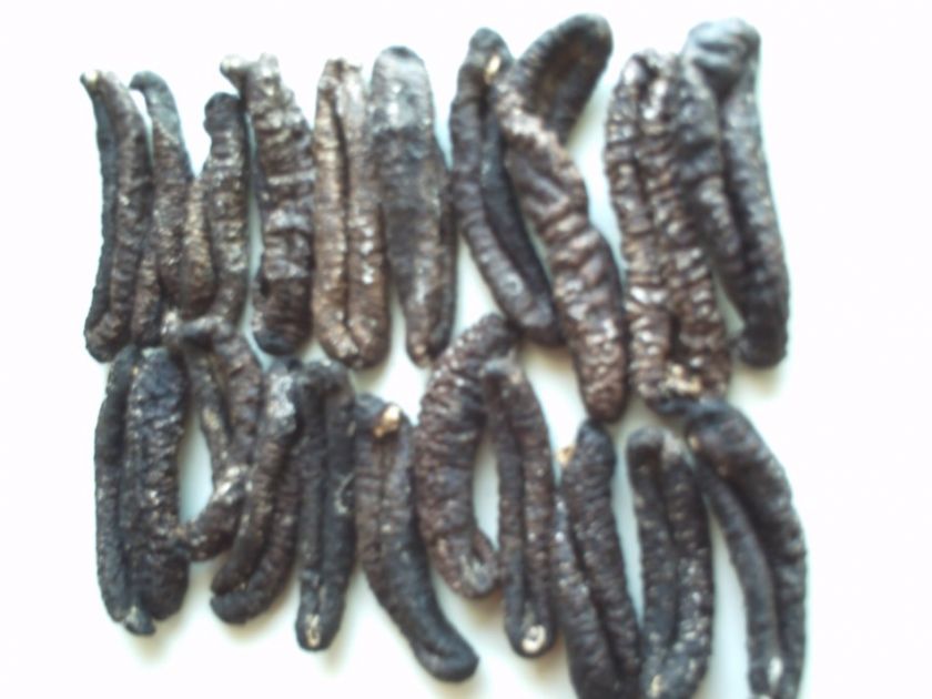 SEA CUCUMBER , Sun Dried ,Sizemedlarge(5 10cm),**1500g  