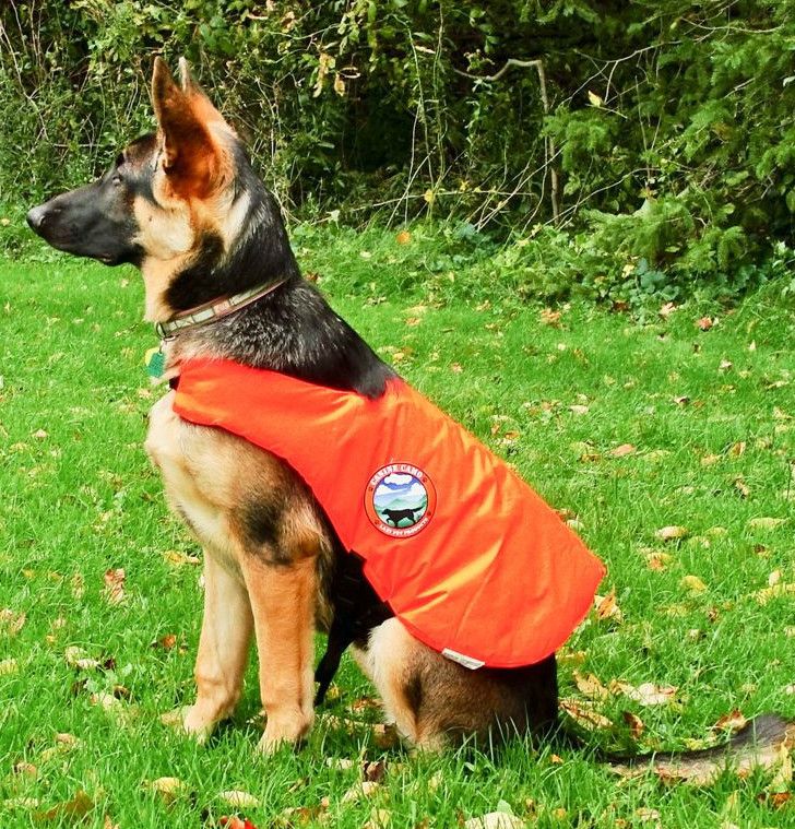 CANINE CAMO DOG HUNTING VEST WATER RESISTANT NEON ORANGE NYLON LARGE 