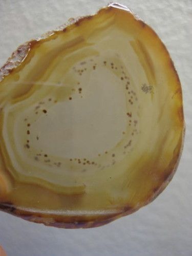 lot of 3 Sliced Round Agate Rocks Geo Stones  