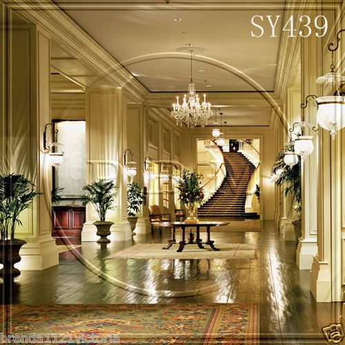 INDOOR 10x10 CP SCENIC PHOTO BACKGROUND BACKDROP SY439  