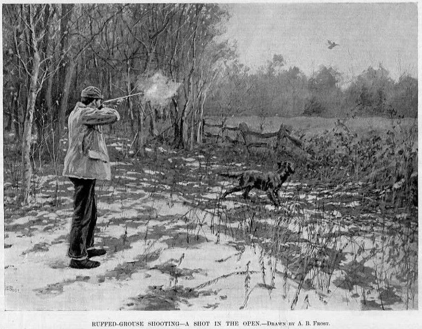 RUFFED GROUSE HUNTING BY A. B. FROST, SHOT IN THE OPEN  