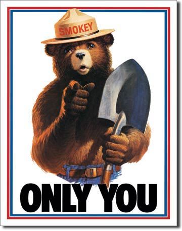 Smokey The Bear Only You Rec Game Dorm Room Tin Sign  