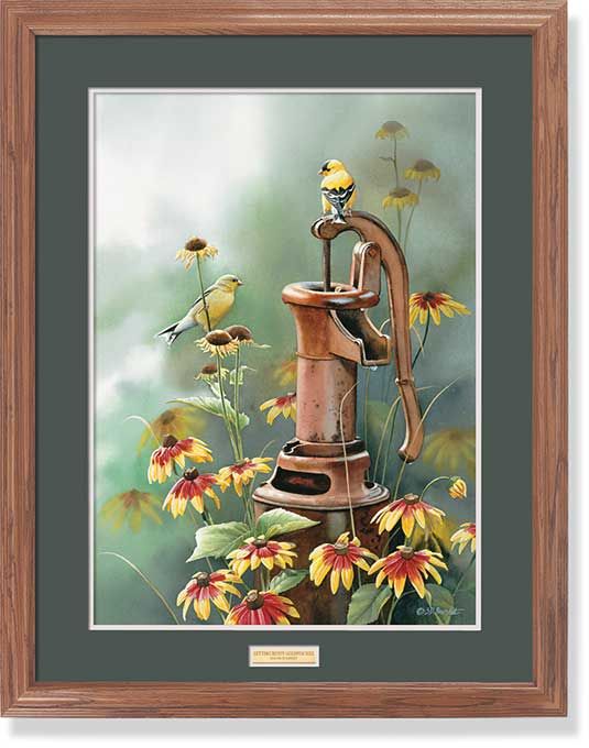 Susan Bourdet Getting Rusty Goldfinch Print Framed  