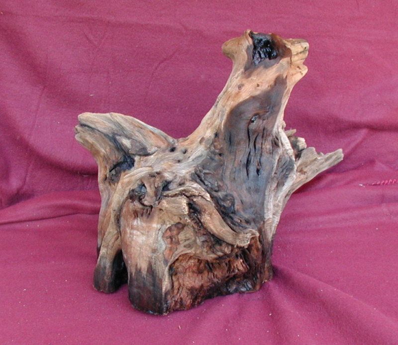 AQUARIUM CYPRESS DRIFTWOOD CENTERPIECE #2655  