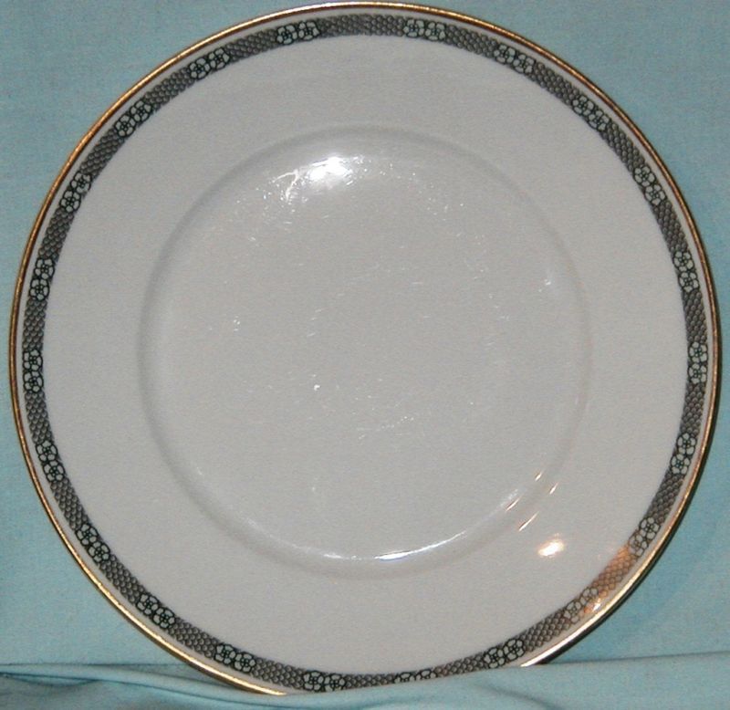 Rosenthal Dinnerware 11 Pieces,R28,Donatello Shape  