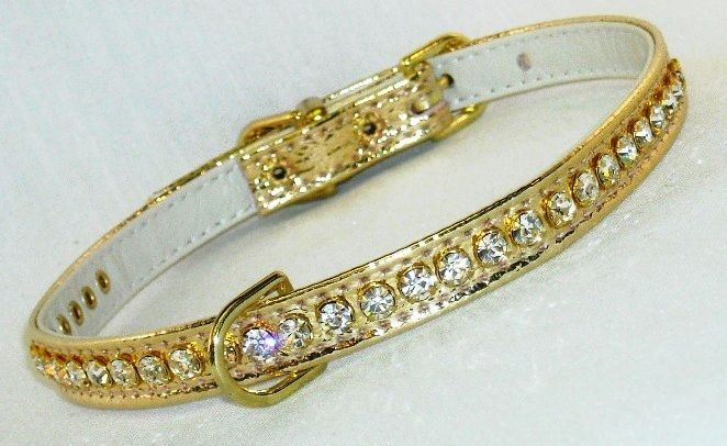 Metallic Gold Dog Collar with Clear Crystals Rhinestones  