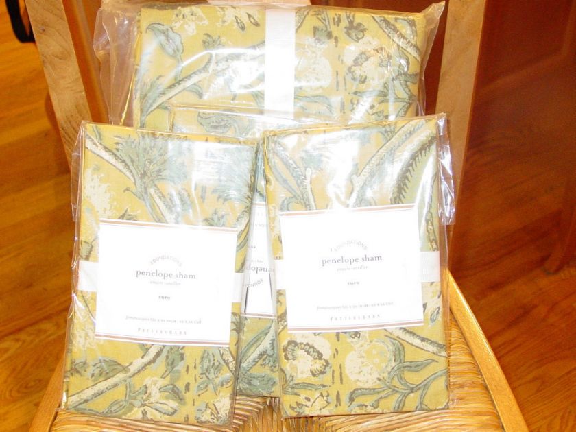 POTTERY BARN PENELOPE KING DUVET 2 EURO SHAMS  