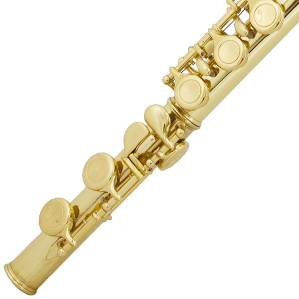 Cecilio 2Series C Flute Gold Lacquer Closed Hole +Tuner  