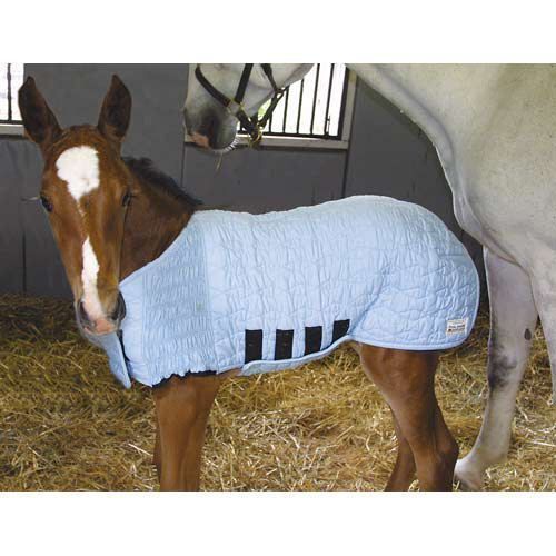 HIGH TECH INSULATING ULTRA FLEX FOAL SAVER BLANKET   L  