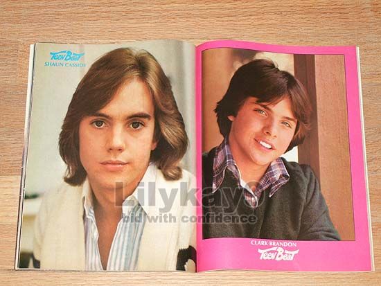 ROBBY BENSON Kristy McNichol SHAUN CASSIDY Teen Beat 78  